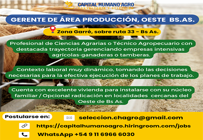 Gerente de Área de producción